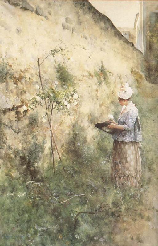 Carl Larsson The Old Wall china oil painting image